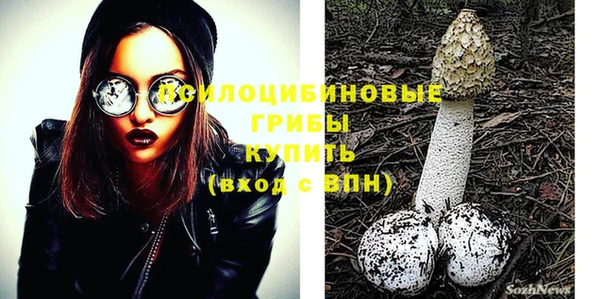 твердый Кодинск