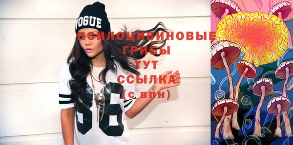 твердый Кодинск